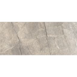 Anima Futura | 24x48 Silver Polished - CLEARANCE