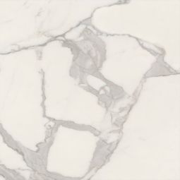 Anima Futura | 24"x24" White Matte - CLEARANCE 