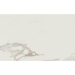 Anima | 24"x 48" Calacatta Oro Polished - CLEARANCE