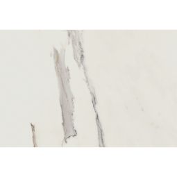 Anima | 24" X 48" Calacatta Polished - CLEARANCE