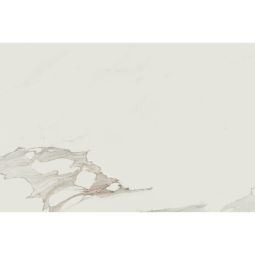 Anima | 24" X 48" Calacatta Oro Polished - CLEARANCE