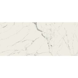 Anima | 47" x 109" (120x278cm) Statuario Venato Slab