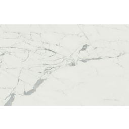 Anima | 24"x 48" Statuario Venato Polished