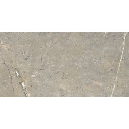 Anthology | Earth 24"x 48"