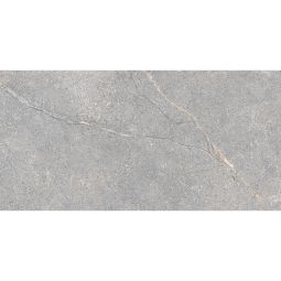Anthology | Grey 24"x 48"