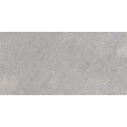 Anthology | Grey 12"x 24"