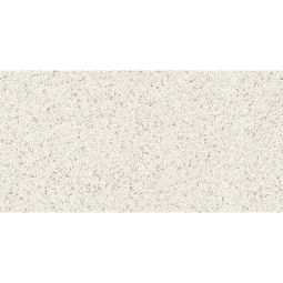 Autore | 12"x 24" Trevi Matte