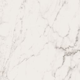 Bianco | 36"x 36" Calacatta Renoir Matte - Clearance