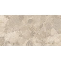 Bitter | Tortora Matte 24" X 48"