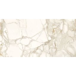Marble Lab | 24"x 48" Calacatta Dorato Matte