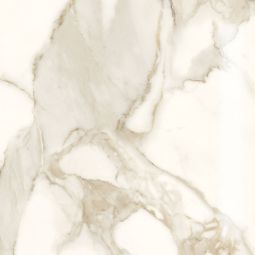 Marble Lab | 24"x 24" Calacatta Dorato Polished