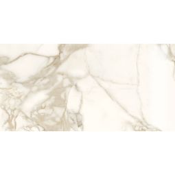 Marble Lab | 24"x 48" Calacatta Dorato Polished