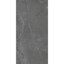 Foundations | Monza Coal 12" X 24" Matte 