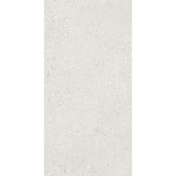 Foundations | Monza Storm 12" X 24" Matte 