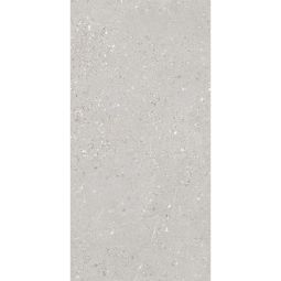 Foundations | Monza Wind 12" X 24" Matte 