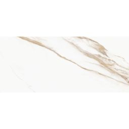Prestige | 24"x48" Calacatta Oro Soft Matte