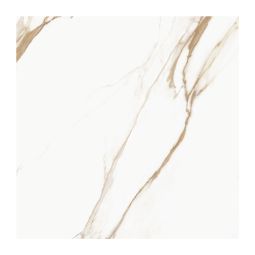 Prestige | 24"x24" Calcatta Oro Soft Matte