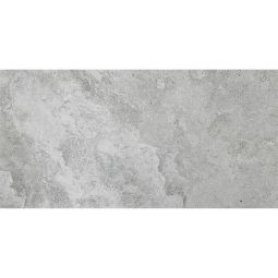 Venato | 12"x24" Argento Matte 