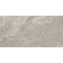 Venato | 12"x24" Stormio Matte 