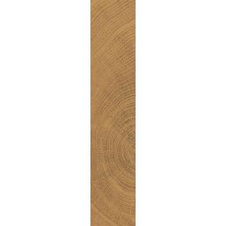 W Circles | 2 x 12” Walnut