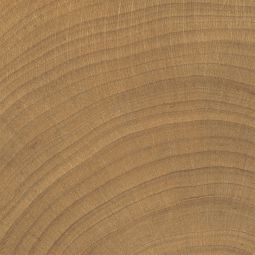 W Circles | 4 x 4” Walnut