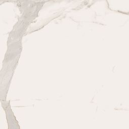 Bianco | 36"x 36" Calacatta Borghini Matte
