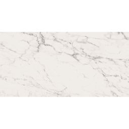 Bianco | 36"x 72" Calacatta Renoir Matte