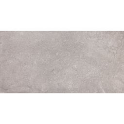 TruStone | 12"x 24" Grey