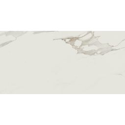 Anima | 24"x 48" Calacatta Oro Matte - CLEARANCE