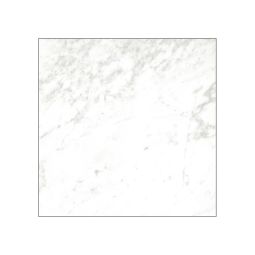 Ames Tile Classica Porcelain Floor and Wall Tile 12x12" - Carrara