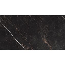 Ames Tile Cava Porcelain Tile 24"x48" - Nero Polished CLEARANCE