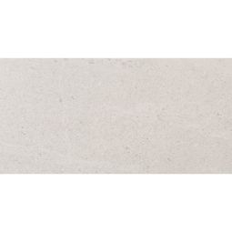 Spartia | 24"x 48" Blanco Matte